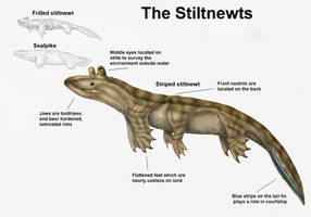 REP: The Stiltnewts