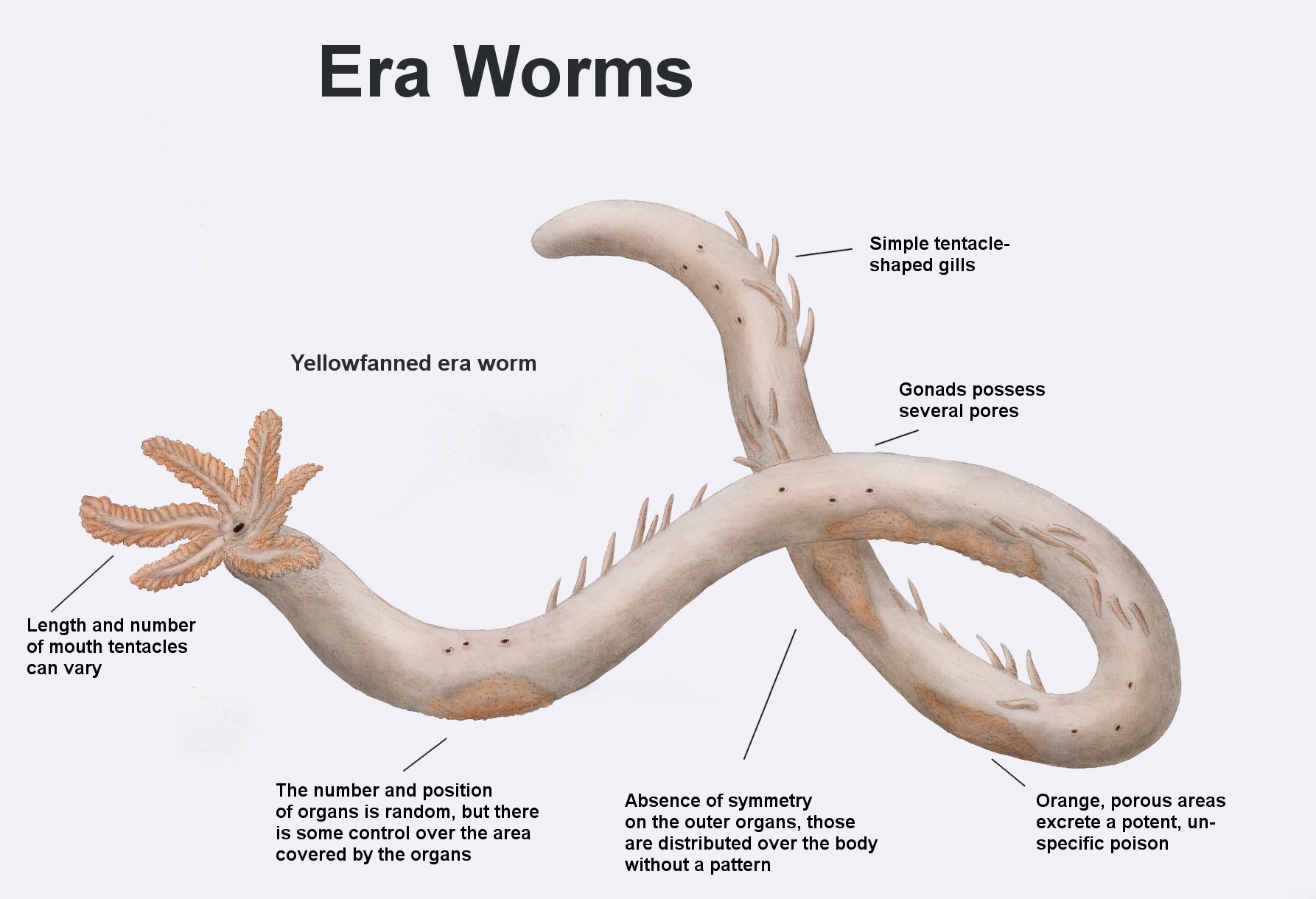 REP: Era worm by Ramul