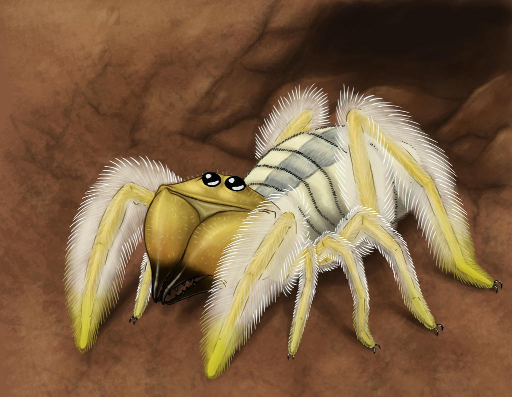 Sunspider by Ramul on DeviantArt