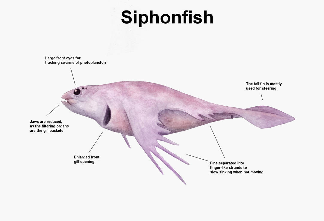 Rep Fish REP: Siphonfish by Ramul on DeviantArt