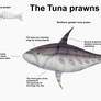 REP: The Tuna prawns