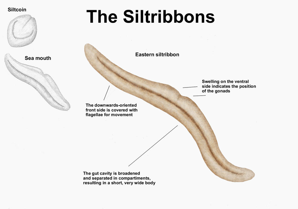 REP: The Siltribbons