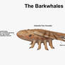 REP: The Barkwhales