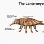 REP: The Lanterneyes