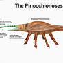 REP: The Pinocchionoses