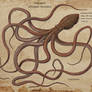 Speculative K: SI bullshit: Mire Squid
