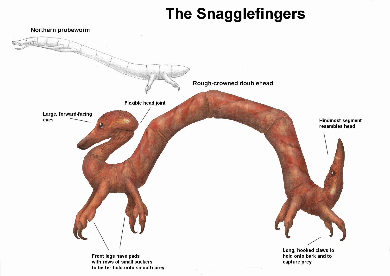REP: The Snagglefingers by Ramul on DeviantArt REP: The Snagglefingers by Ramul on DeviantArt