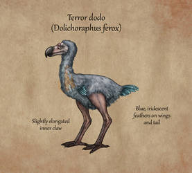 Speculative Skull Island Bullshit: Terror dodo