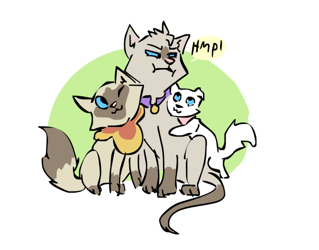 Sagwa kitties