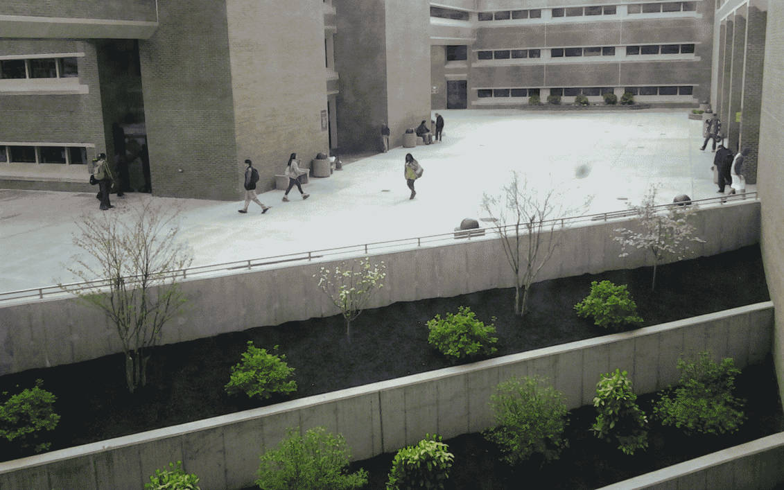 Contrast by skateboarder11