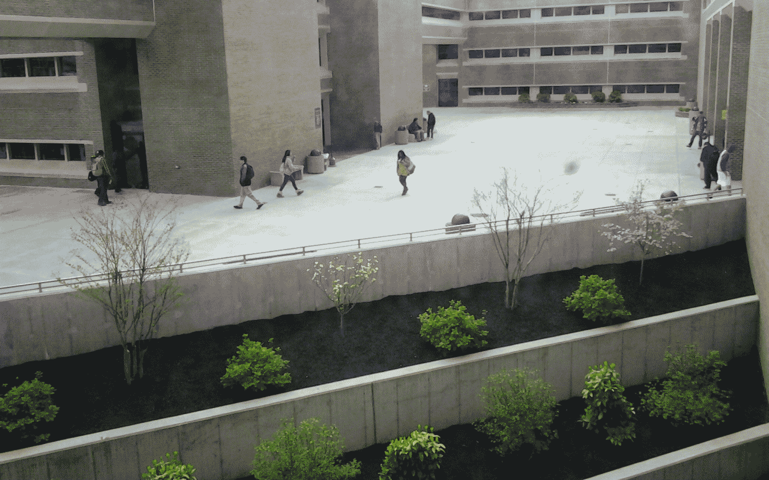 Contrast by skateboarder11
