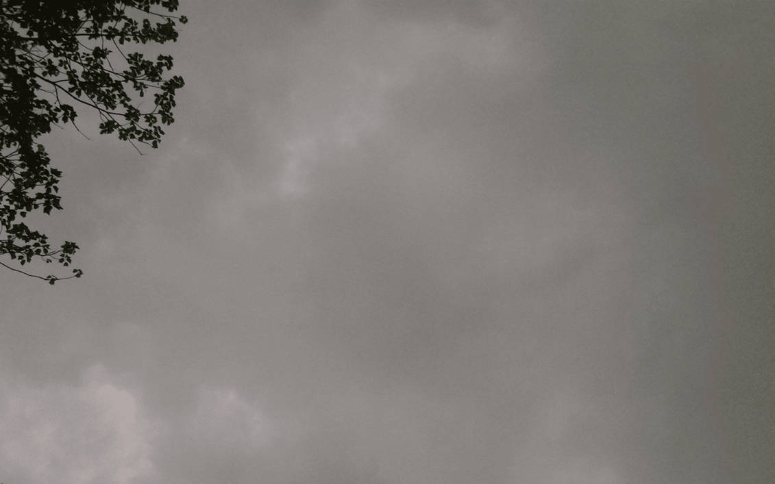 Overcast by skateboarder11