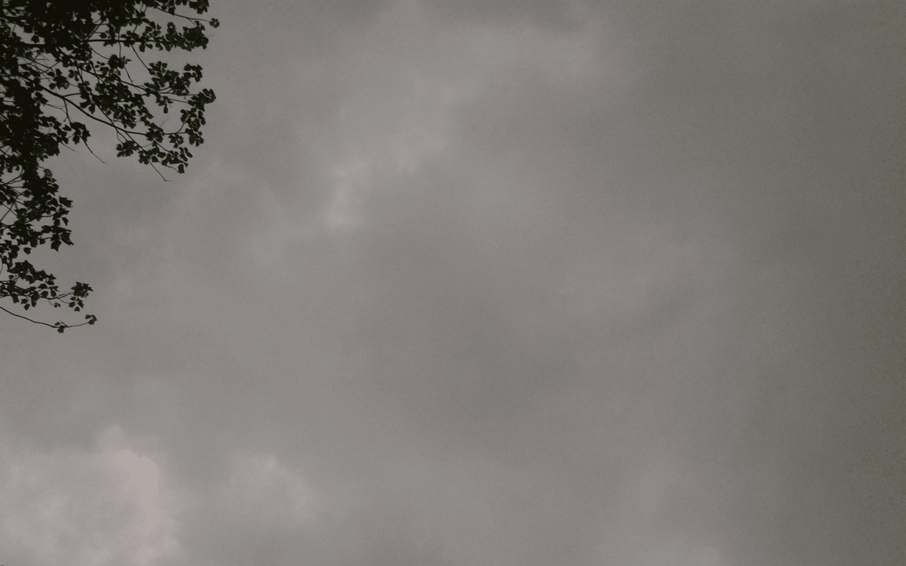 Overcast by skateboarder11