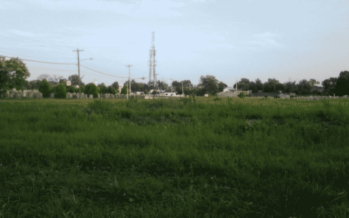 Busy Field by skateboarder11