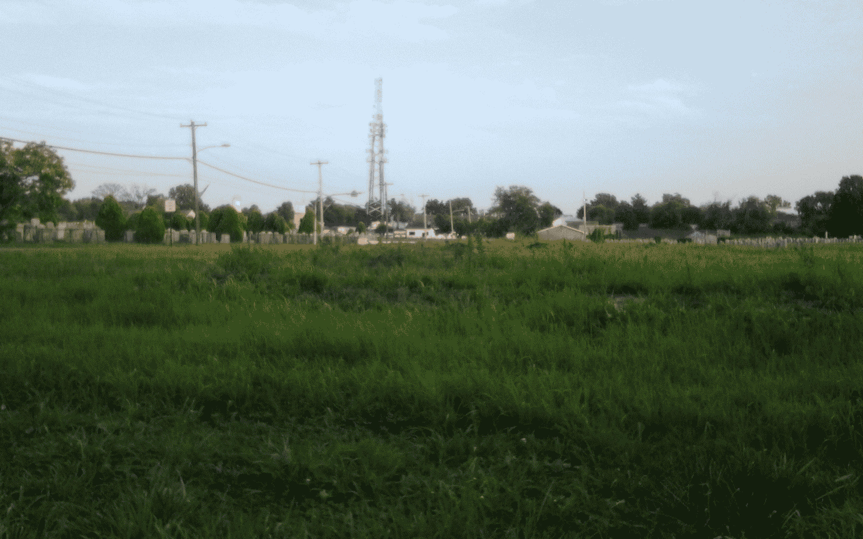 Busy Field by skateboarder11