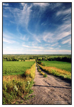 Country Lane