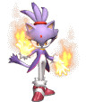 Blaze the cat