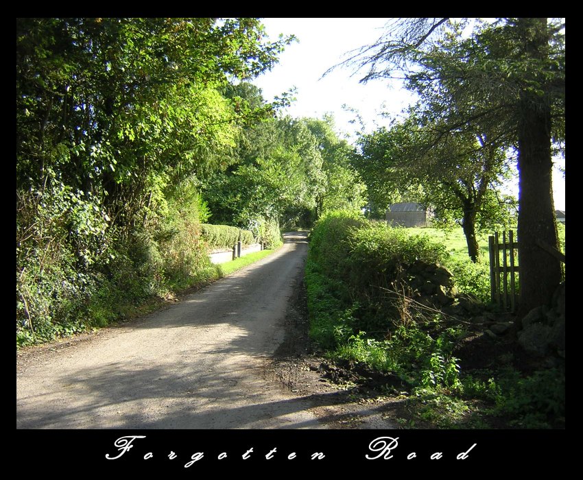 Ireland - Forgotten Road