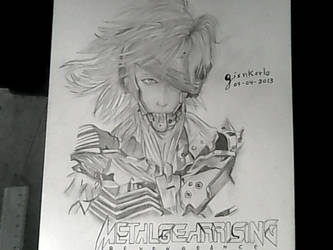 Metal Gear Rising: Raiden