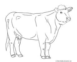 Hereford cow line art