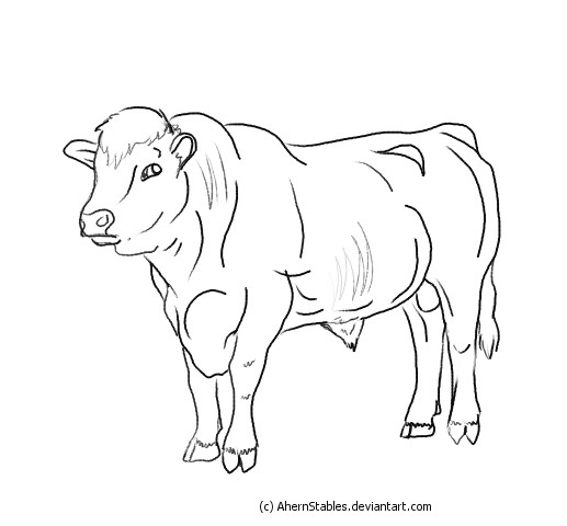 Hereford Bull Line art