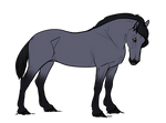 70 AS Jenoubee by AhernStables