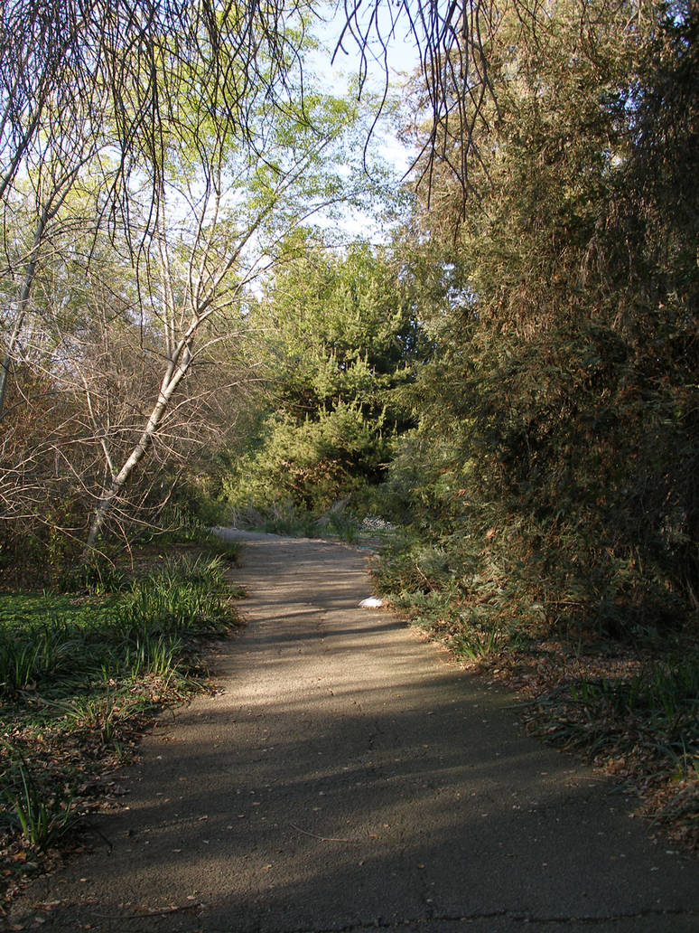 big path by PhoeebStock on DeviantArt