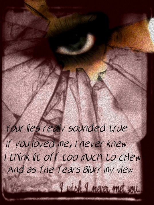 I Wish I Never Met You Quotes Quotes Words I Wish I Never Met You Quotes Quotes Words