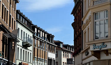 The Altstadt