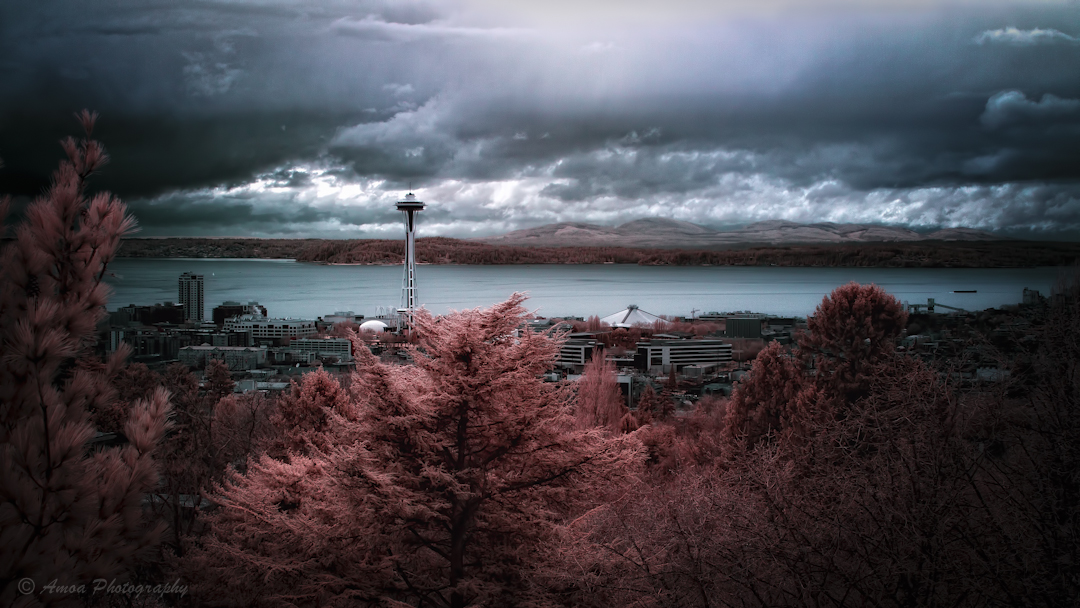 Seattle Infrared