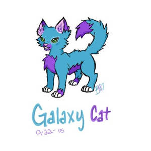 Galaxy Cat