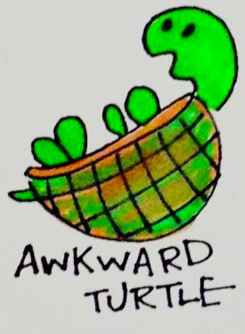 Awkward Turtle by KidFestus07 on DeviantArt Awkward Turtle Wong Fu