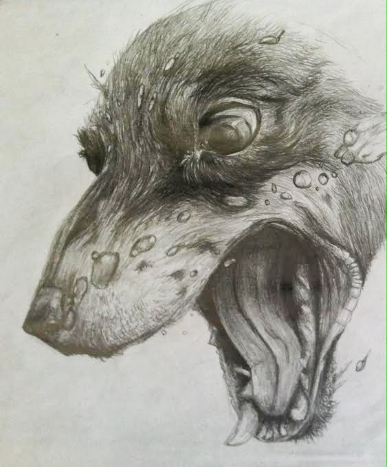 Water Dog (Pencil)