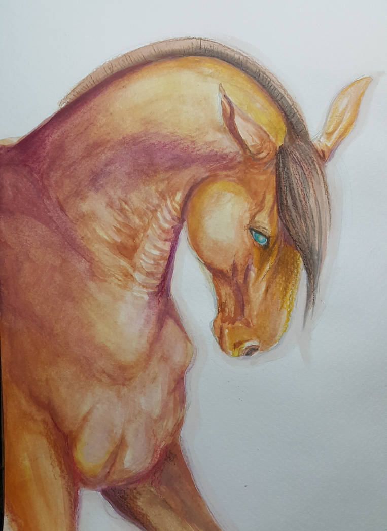 Watercolor Horse by kyrisnowpaw