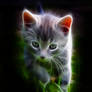 Dreaming Cat