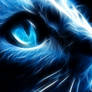 Night Cat Reloaded