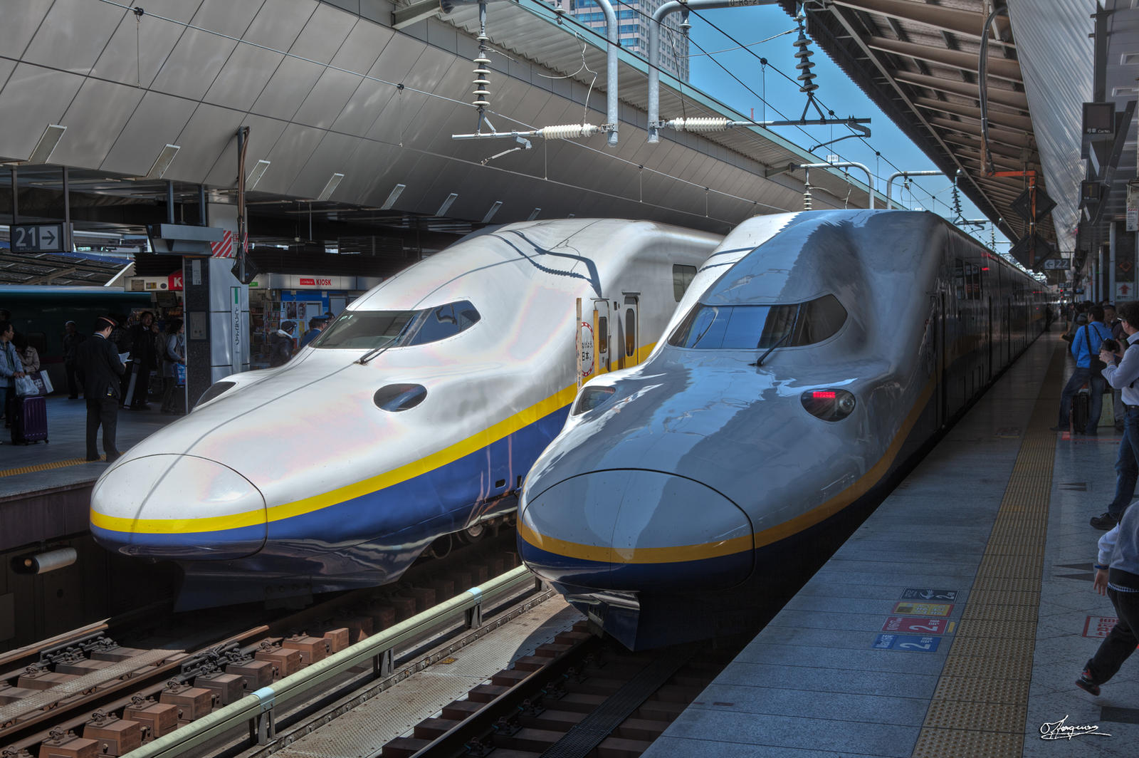 E4 Series Shinkansen
