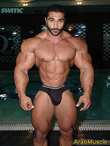 Arab Muscle (Remorph)