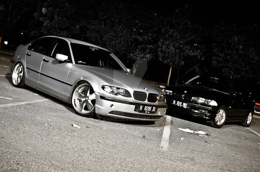 E46 Group Shot