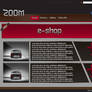 zOOm web template