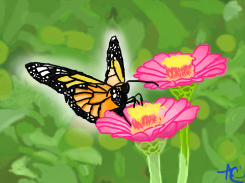 Deviantart Compostfly Butterfly by CrapILostTheGame1999 on DeviantArt