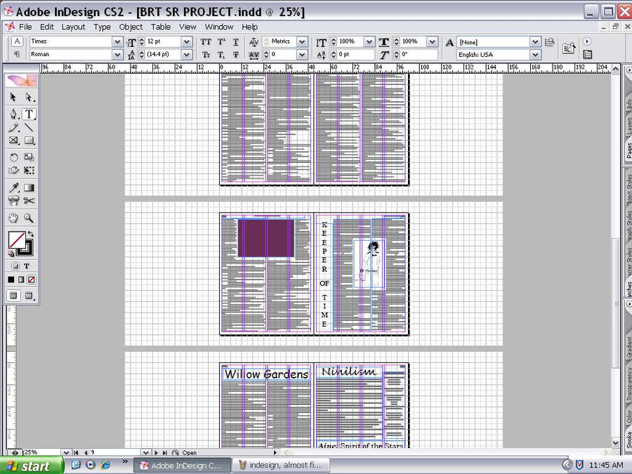 Indesign Wip Project Sr. Project InDesign 3 by xRaeylx on DeviantArt