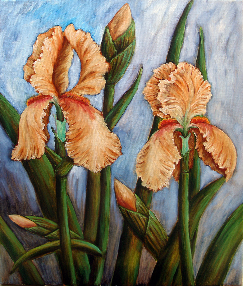 Peach Iris