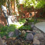 Water Feature
