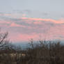 Pastel Skies in Wintertime