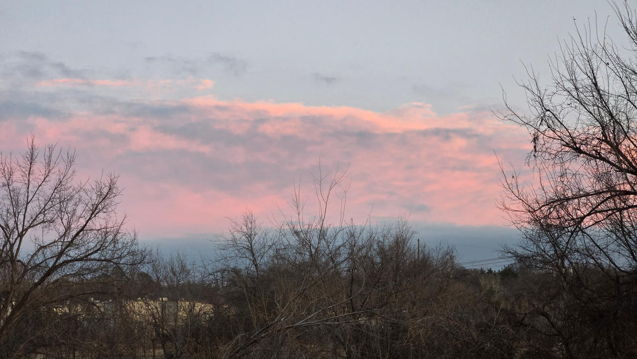 Pastel Skies in Wintertime