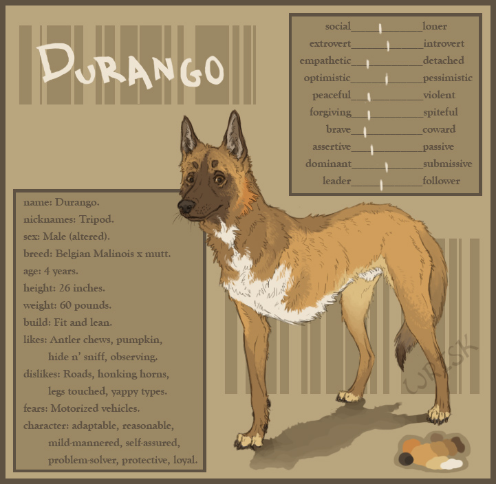 Durango: three legs are better than none!