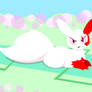 Zangoose Day Quickie (Spring Variant)
