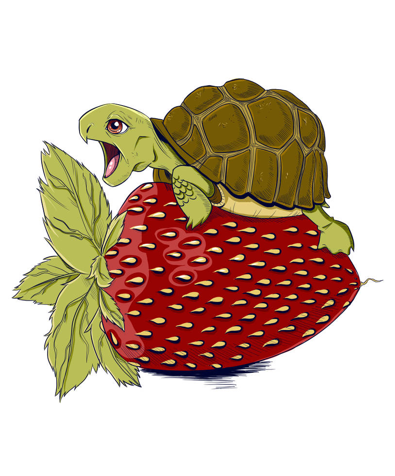 Turtle Berry by jasleena on DeviantArt