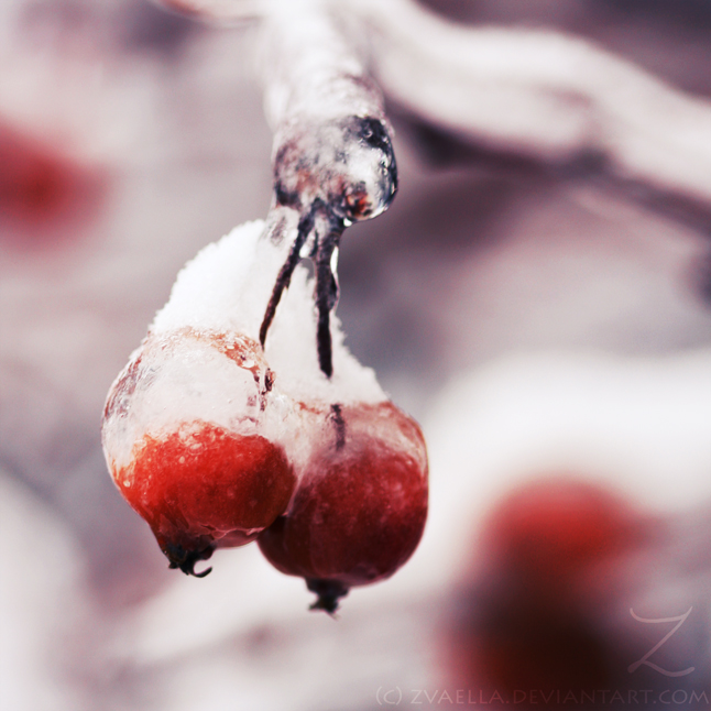 .:cherries wannabees:.